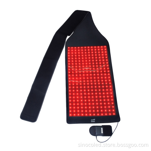 Red Light Therapy Veterinary Instruments for Equine and Canine Care